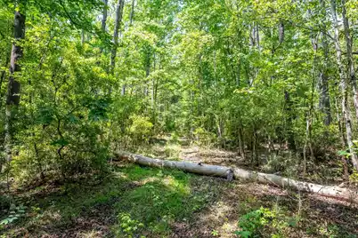0 Hyde Park Road, Adams Run, SC 29426 - Photo 8