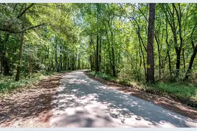 0 Hyde Park Road, Adams Run, SC 29426 - Photo 4