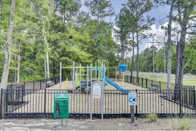 133 Carolina Wren Avenue, Moncks Corner, SC 29461 - Photo 68