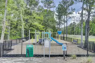 133 Carolina Wren Ave, Moncks Corner, SC 29461 - Photo 68