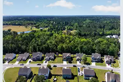 133 Carolina Wren Avenue, Moncks Corner, SC 29461 - Photo 58