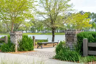 3605 Clambank Dr, Mount Pleasant, SC 29466 - Photo 48