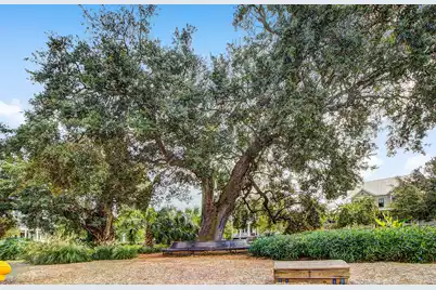 1709 Doldridge Street, Charleston, SC 29492 - Photo 70