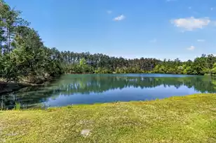 437 Hadley Dr, Huger, SC 29450 - Photo 8