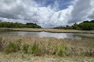 599 2 Mile Run, Johns Island, SC 29455 - Photo 72
