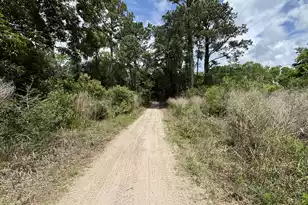 599 2 Mile Run, Johns Island, SC 29455 - Photo 74