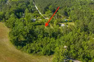 154 Rogers Branch Rd, Ridgeville, SC 29472 - Photo 74