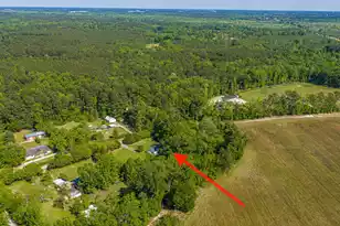 154 Rogers Branch Rd, Ridgeville, SC 29472 - Photo 68