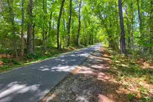 415 Parkdale Dr, Charleston, SC 29414 - Photo 20