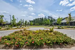 216 Symphony Ave, Summerville, SC 29486 - Photo 70