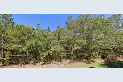 Tbd New Meadow Drive, Reevesville, SC 29471 - Photo 1