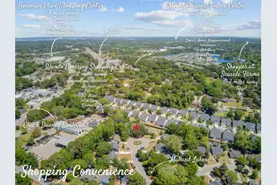 1224 Decoy Court, Mount Pleasant, SC 29464 - Photo 48