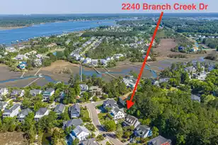 2240 Branch Creek Dr, Mount Pleasant, SC 29466 - Photo 58