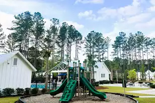 303 Theus Pl, Huger, SC 29450 - Photo 60