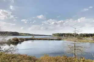 764 Maynard Ln, Summerville, SC 29486 - Photo 54