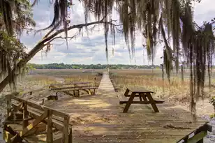 5508 Stono View Dr, Johns Island, SC 29455 - Photo 100