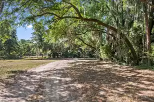 6195 Ranch Rd, Wadmalaw Island, SC 29487 - Photo 38