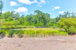 1123 Fitzgerald Ct, Summerville, SC 29485 - Photo 48