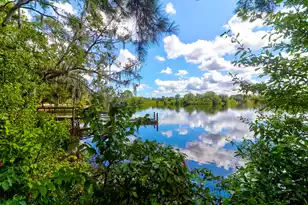 1123 Fitzgerald Ct, Summerville, SC 29485 - Photo 58