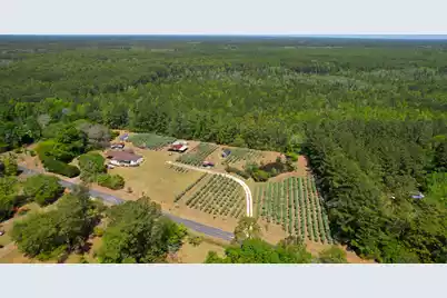 9760 Randall Road, McClellanville, SC 29458 - Photo 2