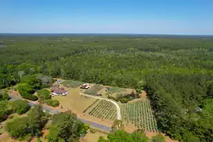 9760 Randall Rd, McClellanville, SC 29458 - Photo 2