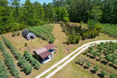 9760 Randall Road, McClellanville, SC 29458 - Photo 16