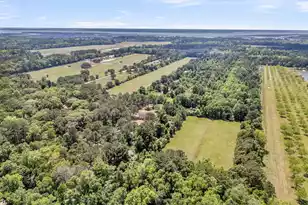2271 Leadenwah Dr, Wadmalaw Island, SC 29487 - Photo 46