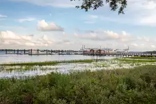 624 Waterman St, Charleston, SC 29492 - Photo 16