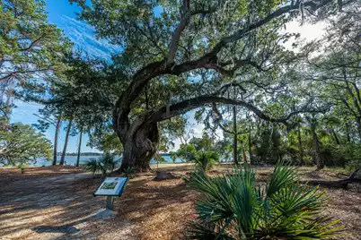 130 River Landing Drive #Unit 7315, Charleston, SC 29492 - Photo 20