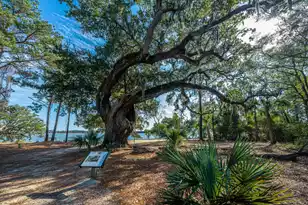 130 River Landing Dr, Charleston, SC 29492 - Photo 20