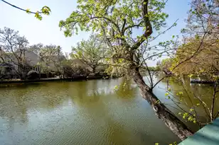 759 Lake Frances Dr, Charleston, SC 29412 - Photo 46