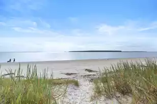 1394/96 Pelican Watch Villas, Seabrook Island, SC 29455 - Photo 54