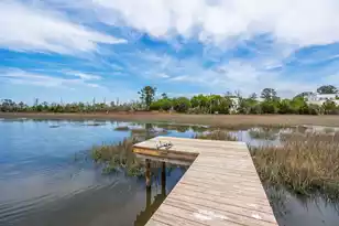 3000 Rushland Mews, Johns Island, SC 29455 - Photo 4