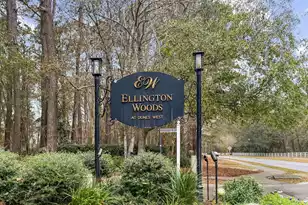 1441 Wellbrooke Ln, Mount Pleasant, SC 29466 - Photo 26