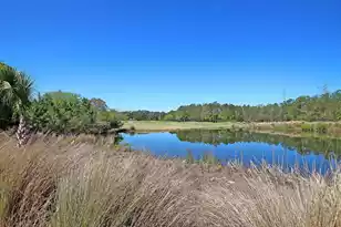 1721 Rivertowne Country Club Dr, Mount Pleasant, SC 29466 - Photo 62