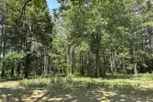 2022 Lumber Rd, Ruffin, SC 29475 - Photo 48