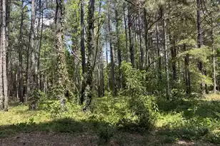 2022 Lumber Rd, Ruffin, SC 29475 - Photo 24