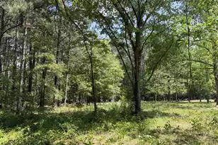 2022 Lumber Rd, Ruffin, SC 29475 - Photo 22
