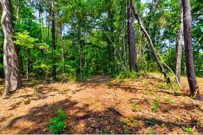 1810 Turkey Pen Road, Charleston, SC 29412 - Photo 36