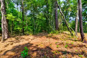 1810 Turkey Pen Rd, Charleston, SC 29412 - Photo 36