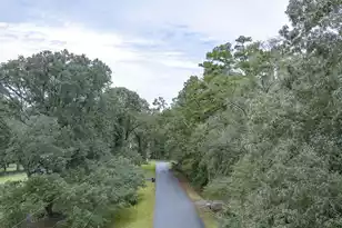3 Poplar Cir, Summerville, SC 29483 - Photo 24