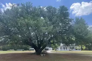 6068 Charleston Hwy, Walterboro, SC 29488 - Photo 26