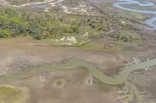 7650 Point of Pines Rd, Edisto Island, SC 29438 - Photo 46