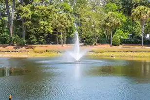 2011 Hwy 17 N, Mount Pleasant, SC 29466 - Photo 50