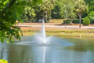 2011 Hwy 17 N, Mount Pleasant, SC 29466 - Photo 22