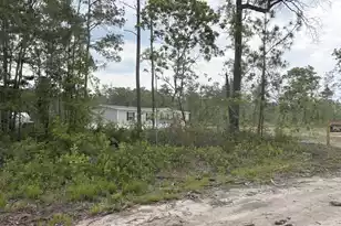 130 Zone Way, Cottageville, SC 29435 - Photo 42