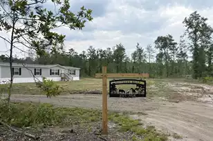 130 Zone Way, Cottageville, SC 29435 - Photo 42
