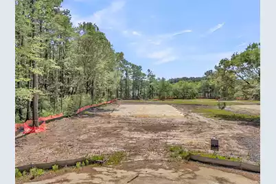 1150 Theodore Brunson Road, Awendaw, SC 29429 - Photo 4