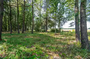 2986 Anchor Watch Dr, Wadmalaw Island, SC 29487 - Photo 68