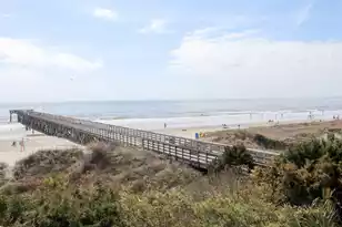 1300 Ocean Blvd, Isle Of Palms, SC 29451 - Photo 8